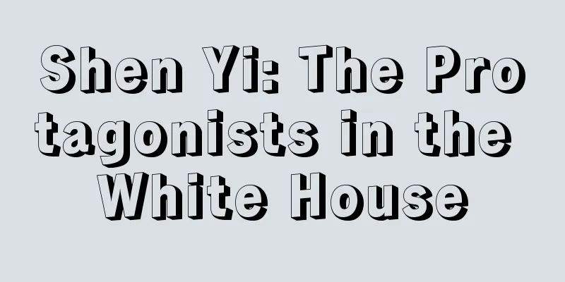 Shen Yi: The Protagonists in the White House