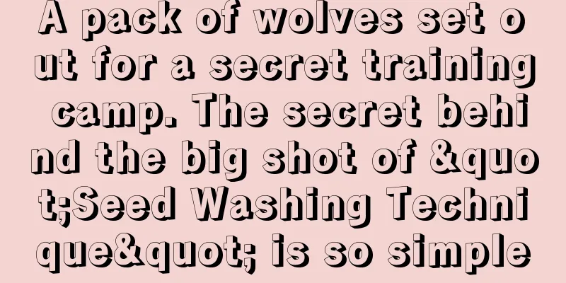 A pack of wolves set out for a secret training camp. The secret behind the big shot of "Seed Washing Technique" is so simple