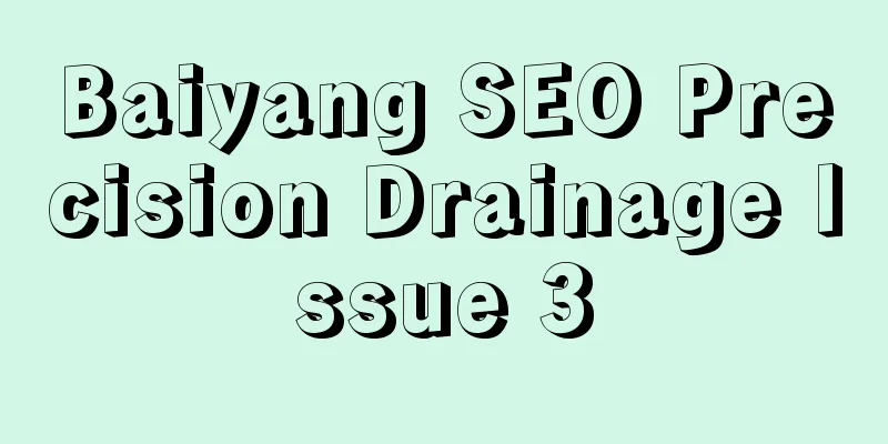 Baiyang SEO Precision Drainage Issue 3