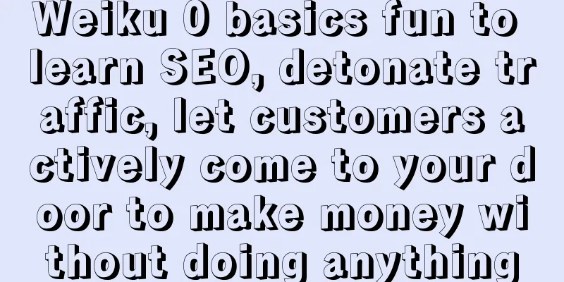 Weiku 0 basics fun to learn SEO, detonate traffic, let customers actively come to your door to make money without doing anything