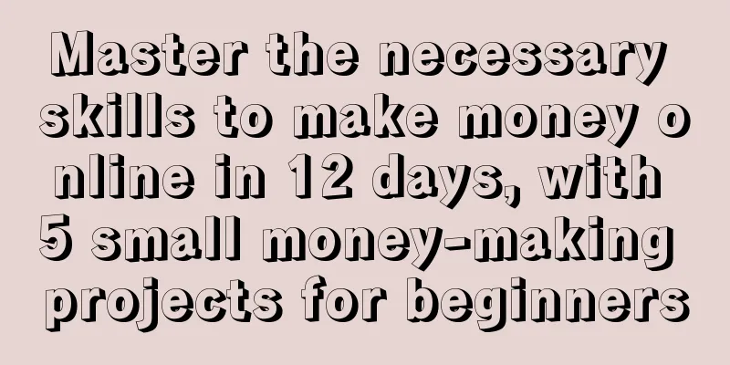 Master the necessary skills to make money online in 12 days, with 5 small money-making projects for beginners