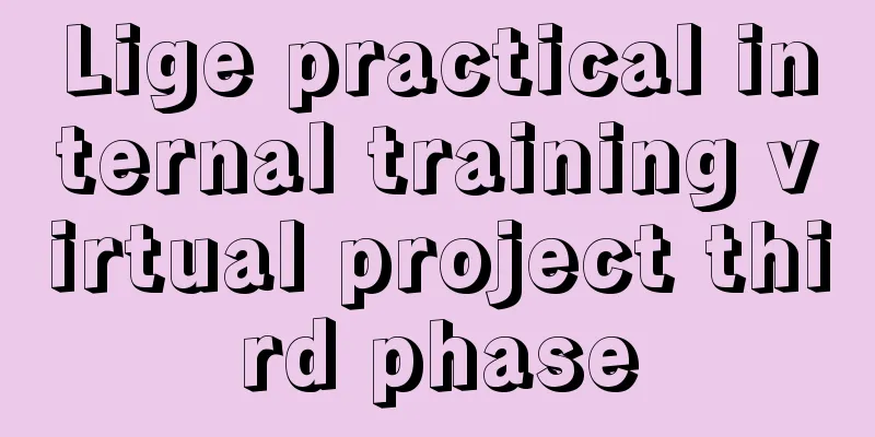 Lige practical internal training virtual project third phase