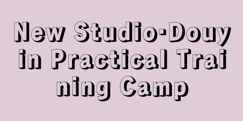 New Studio·Douyin Practical Training Camp