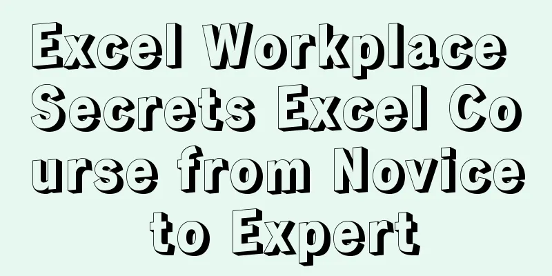 Excel Workplace Secrets Excel Course from Novice to Expert