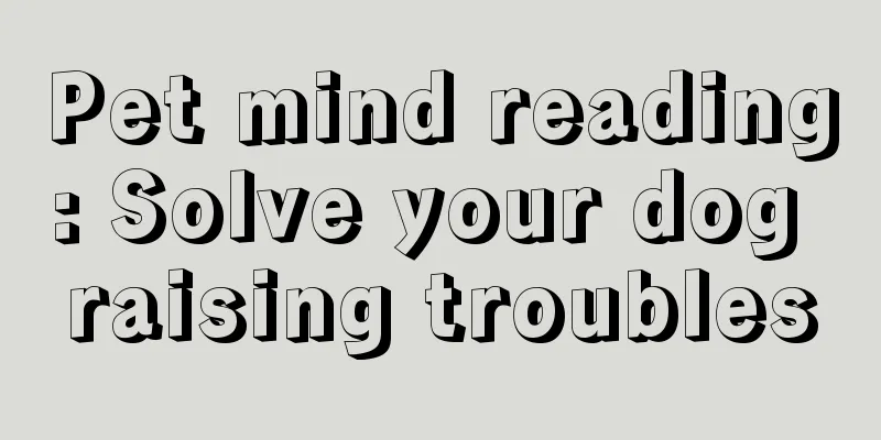 Pet mind reading: Solve your dog raising troubles