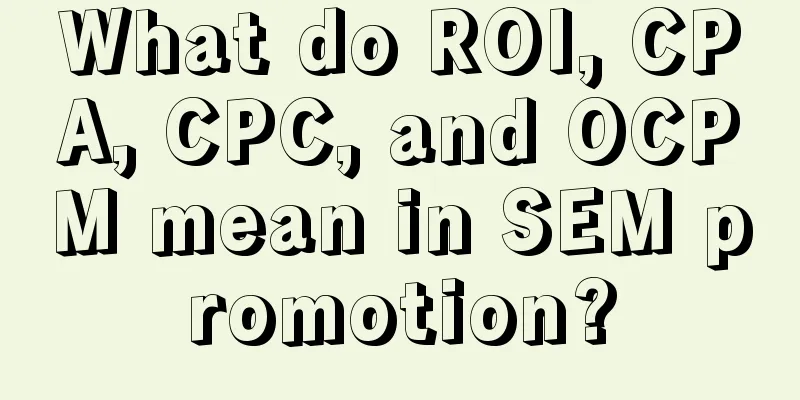 What do ROI, CPA, CPC, and OCPM mean in SEM promotion?