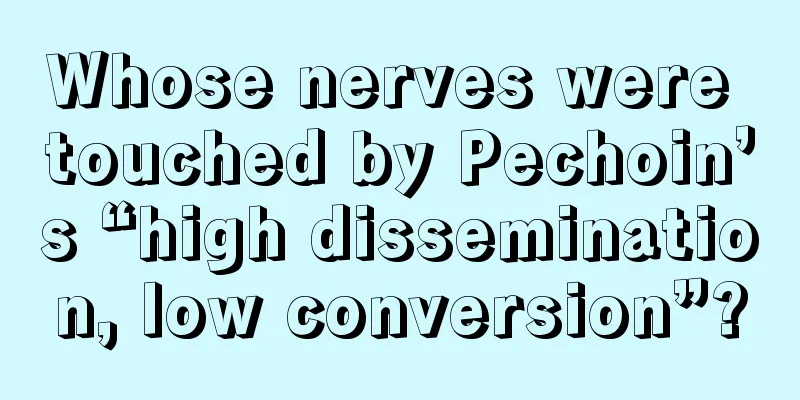 Whose nerves were touched by Pechoin’s “high dissemination, low conversion”?