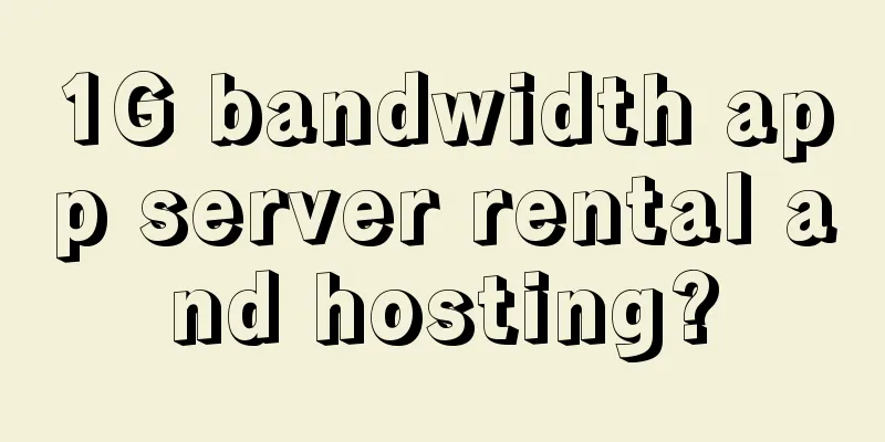 1G bandwidth app server rental and hosting?