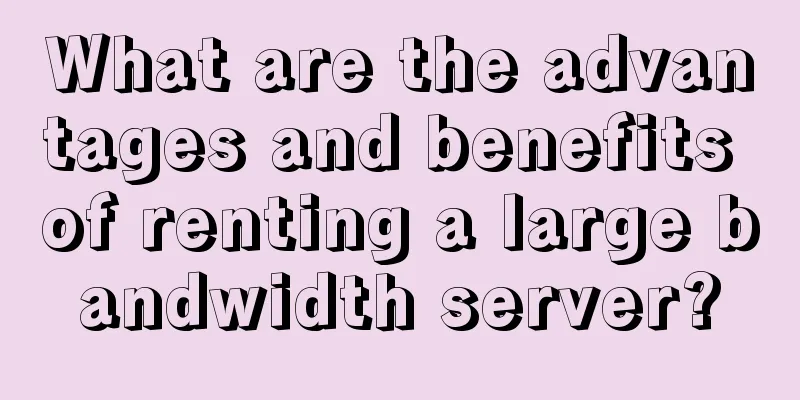 What are the advantages and benefits of renting a large bandwidth server?