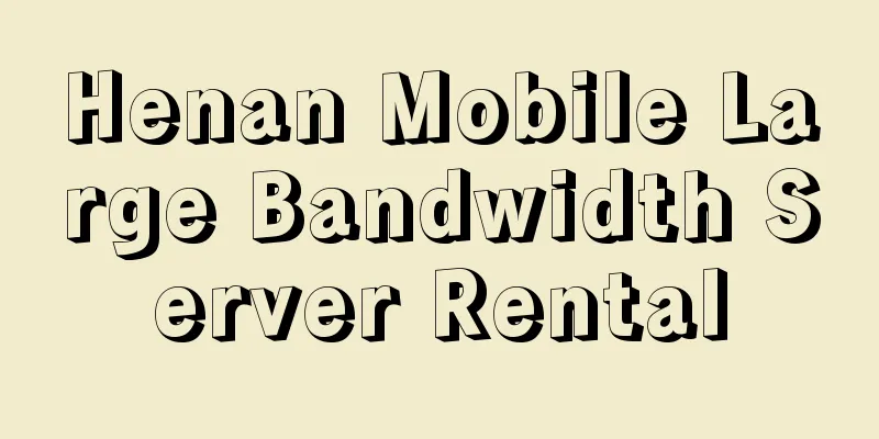 Henan Mobile Large Bandwidth Server Rental