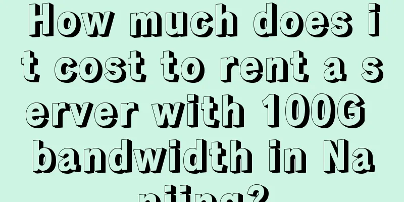 How much does it cost to rent a server with 100G bandwidth in Nanjing?