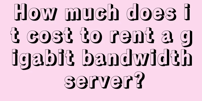 How much does it cost to rent a gigabit bandwidth server?