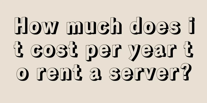 How much does it cost per year to rent a server?