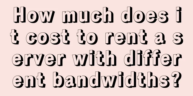 How much does it cost to rent a server with different bandwidths?