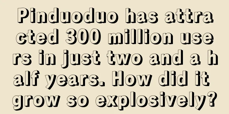 Pinduoduo has attracted 300 million users in just two and a half years. How did it grow so explosively?