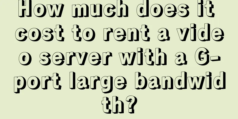 How much does it cost to rent a video server with a G-port large bandwidth?