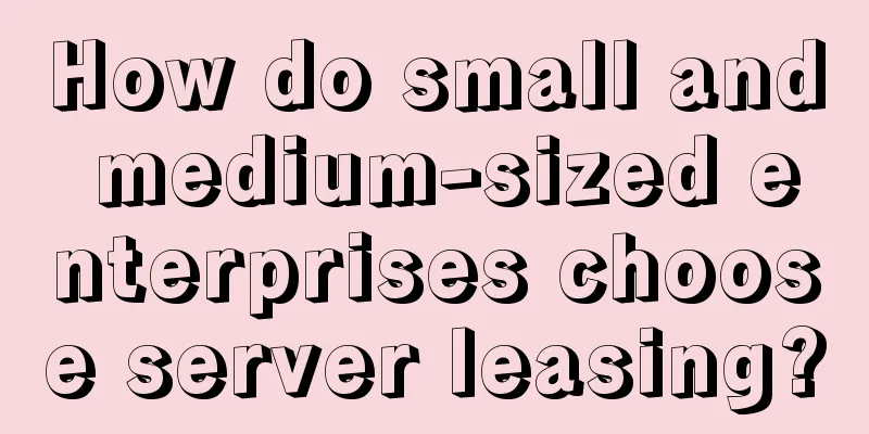 How do small and medium-sized enterprises choose server leasing?