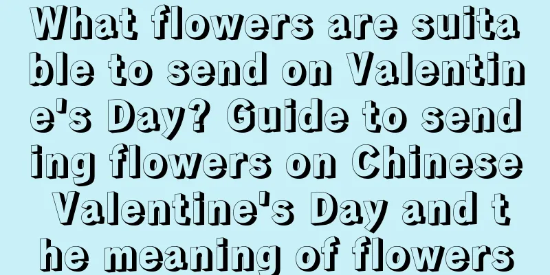 What flowers are suitable to send on Valentine's Day? Guide to sending flowers on Chinese Valentine's Day and the meaning of flowers