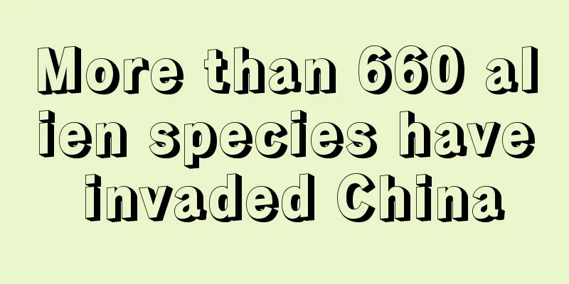 More than 660 alien species have invaded China