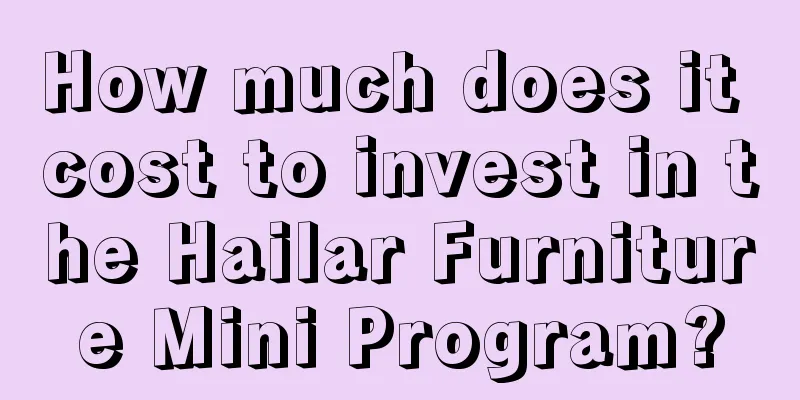 How much does it cost to invest in the Hailar Furniture Mini Program?