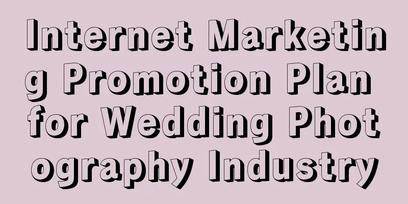 Internet Marketing Promotion Plan for Wedding Photography Industry