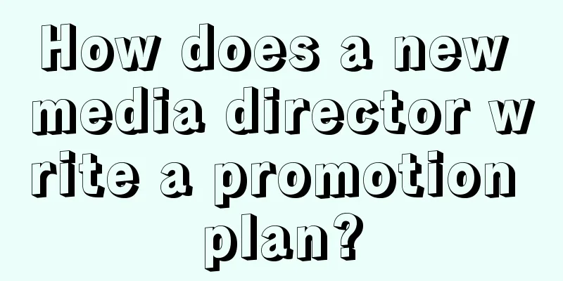 How does a new media director write a promotion plan?