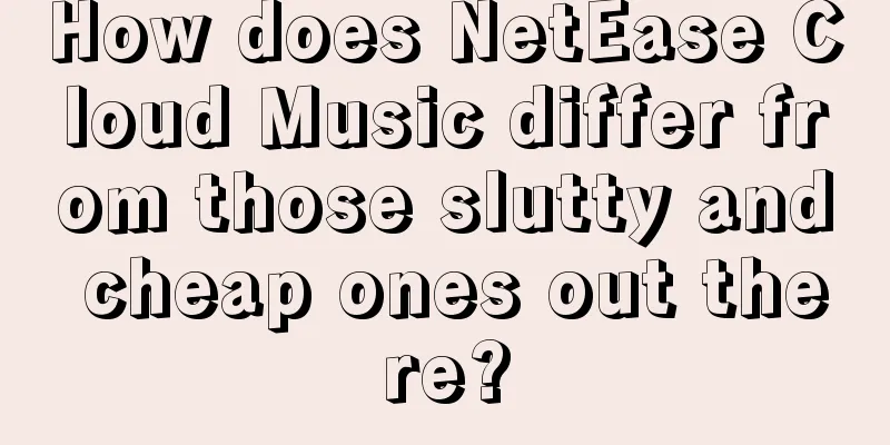 How does NetEase Cloud Music differ from those slutty and cheap ones out there?