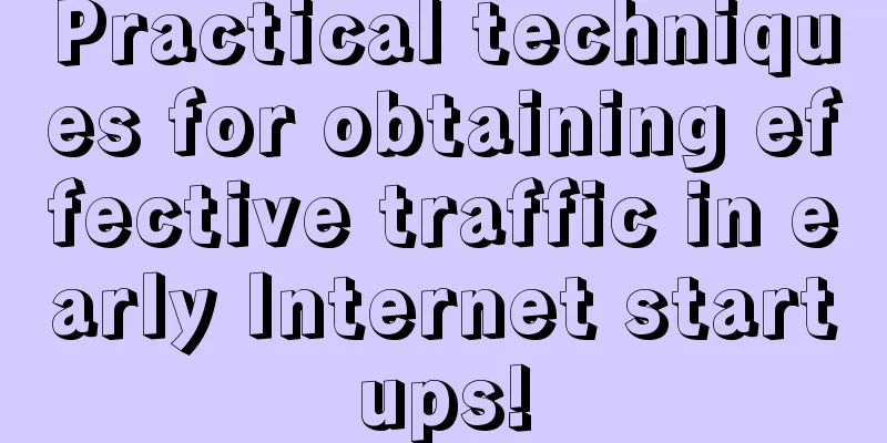 Practical techniques for obtaining effective traffic in early Internet startups!