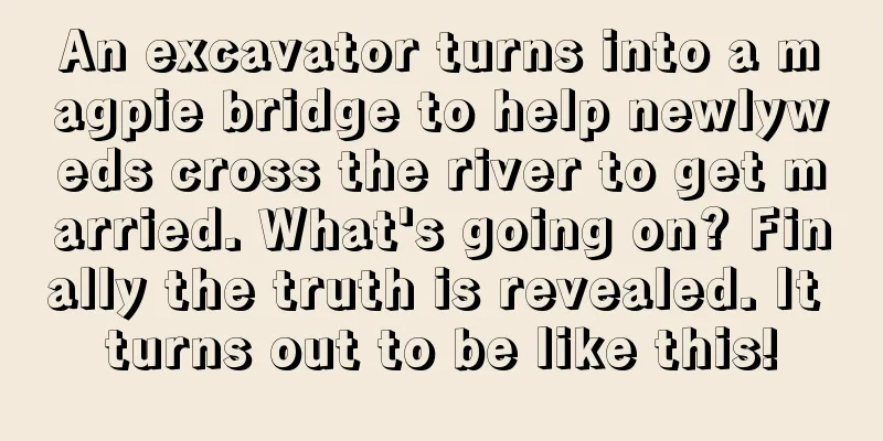 An excavator turns into a magpie bridge to help newlyweds cross the river to get married. What's going on? Finally the truth is revealed. It turns out to be like this!