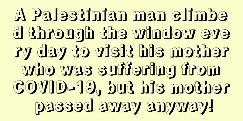 A Palestinian man climbed through the window every day to visit his mother who was suffering from COVID-19, but his mother passed away anyway!