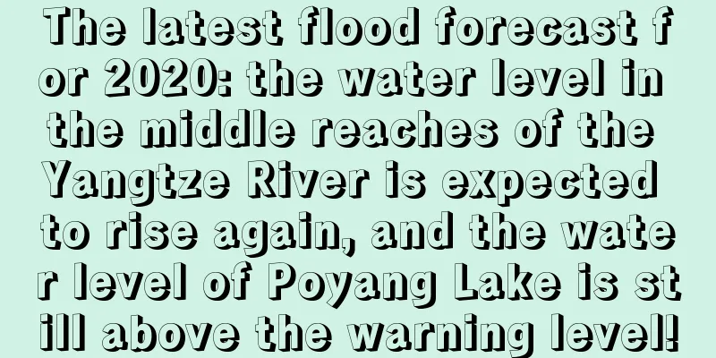 The latest flood forecast for 2020: the water level in the middle reaches of the Yangtze River is expected to rise again, and the water level of Poyang Lake is still above the warning level!