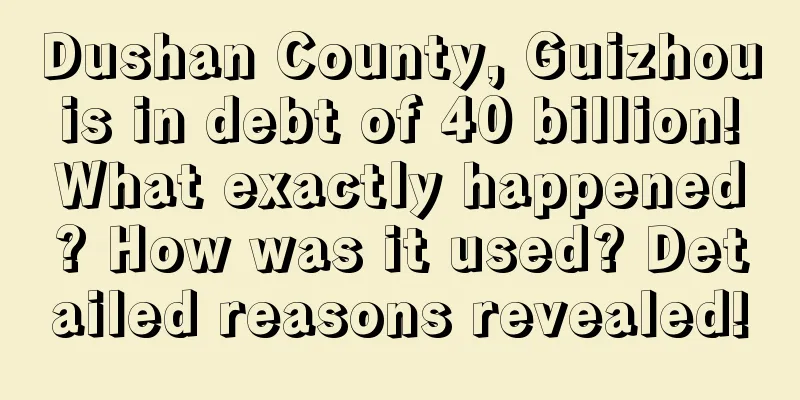 Dushan County, Guizhou is in debt of 40 billion! What exactly happened? How was it used? Detailed reasons revealed!