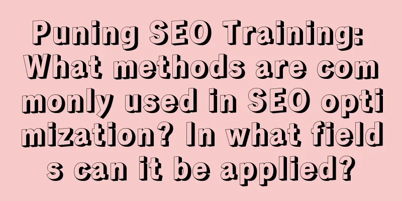 Puning SEO Training: What methods are commonly used in SEO optimization? In what fields can it be applied?