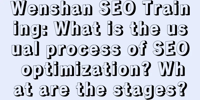 Wenshan SEO Training: What is the usual process of SEO optimization? What are the stages?