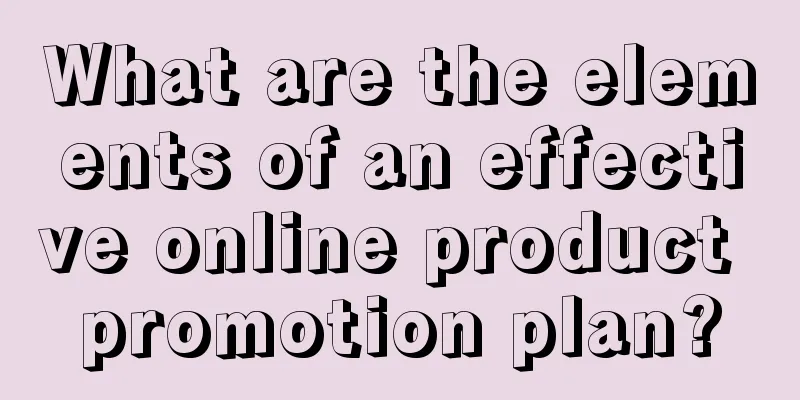 What are the elements of an effective online product promotion plan?