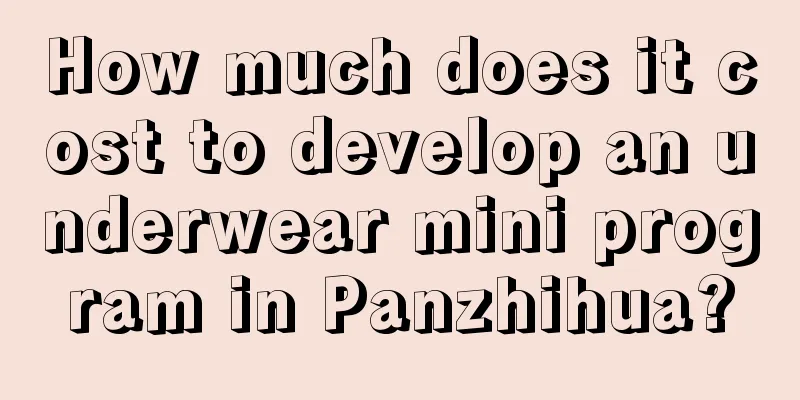 How much does it cost to develop an underwear mini program in Panzhihua?