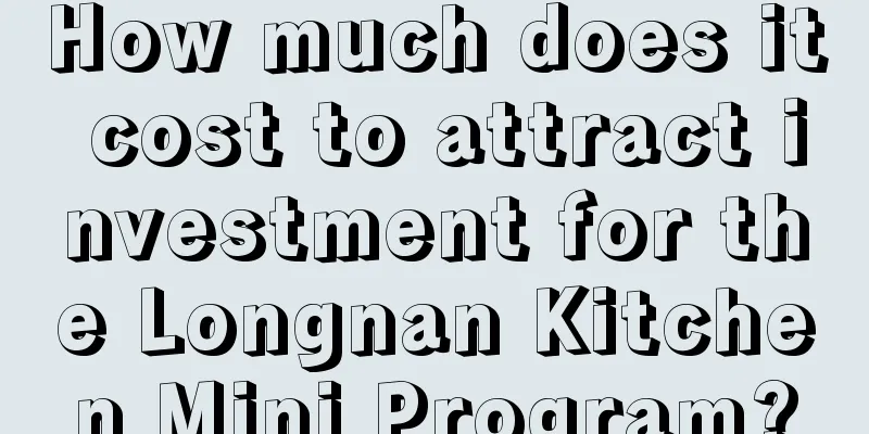 How much does it cost to attract investment for the Longnan Kitchen Mini Program?