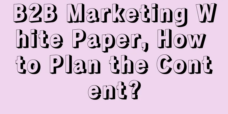 B2B Marketing White Paper, How to Plan the Content?