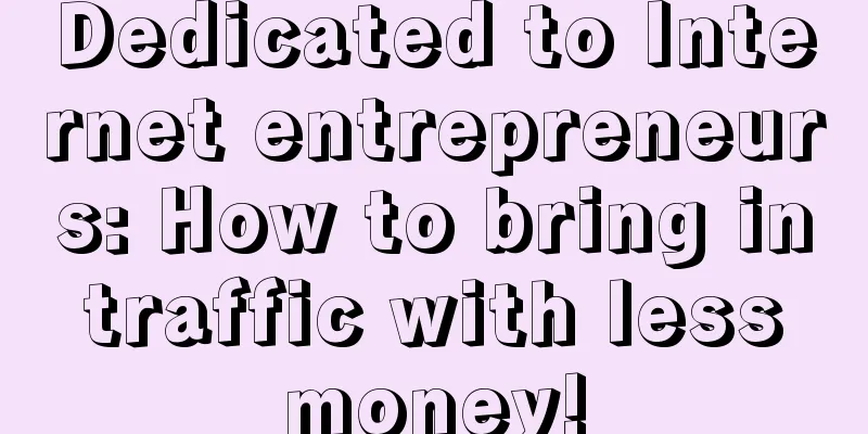 Dedicated to Internet entrepreneurs: How to bring in traffic with less money!