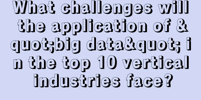 What challenges will the application of "big data" in the top 10 vertical industries face?