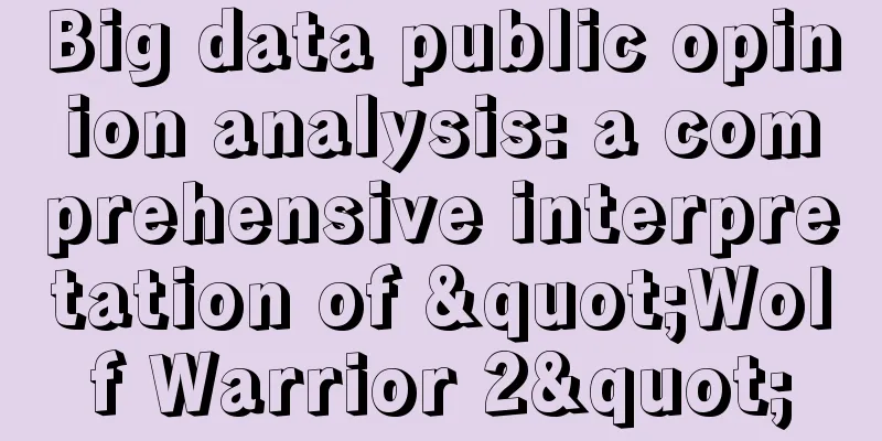 Big data public opinion analysis: a comprehensive interpretation of "Wolf Warrior 2"