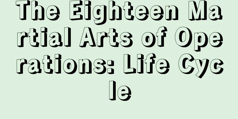 The Eighteen Martial Arts of Operations: Life Cycle