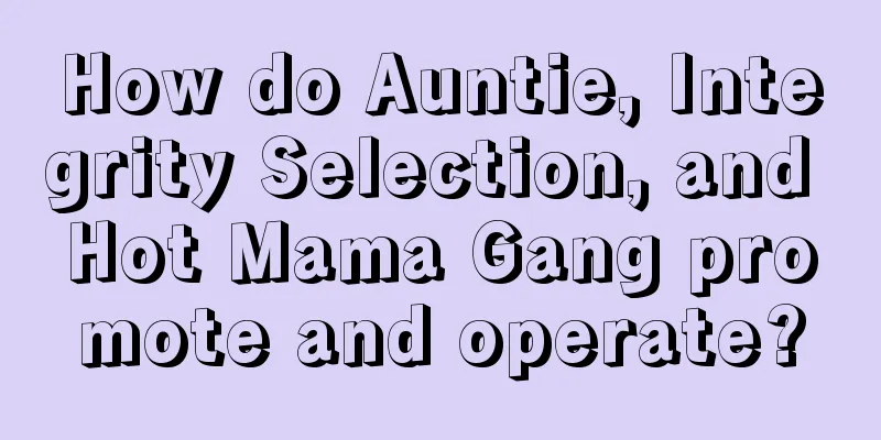 How do Auntie, Integrity Selection, and Hot Mama Gang promote and operate?