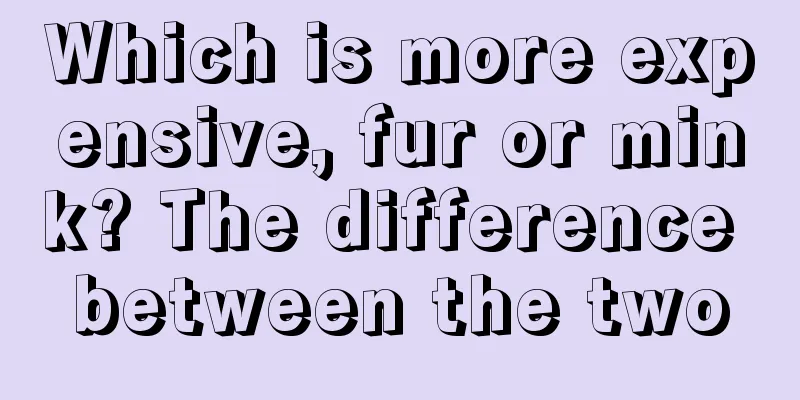 Which is more expensive, fur or mink? The difference between the two