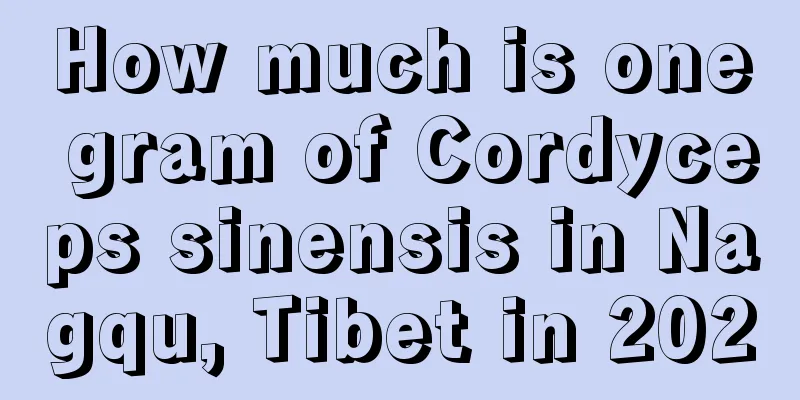 How much is one gram of Cordyceps sinensis in Nagqu, Tibet in 2020