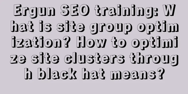 Ergun SEO training: What is site group optimization? How to optimize site clusters through black hat means?