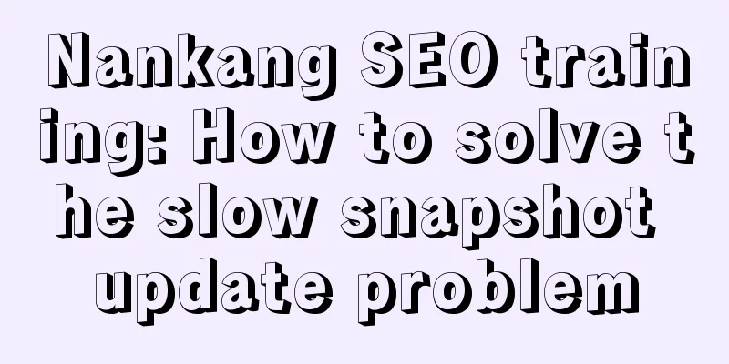 Nankang SEO training: How to solve the slow snapshot update problem