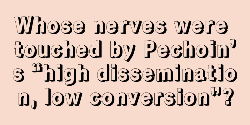 Whose nerves were touched by Pechoin’s “high dissemination, low conversion”?