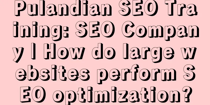 Pulandian SEO Training: SEO Company | How do large websites perform SEO optimization?