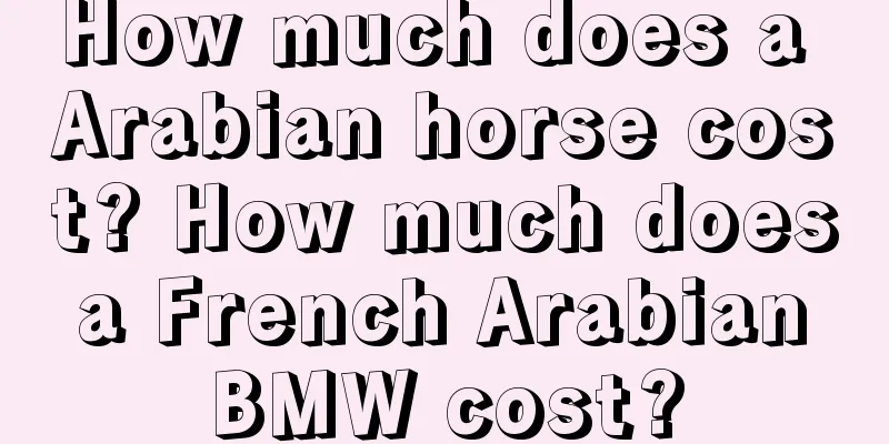 How much does a Arabian horse cost? How much does a French Arabian BMW cost?